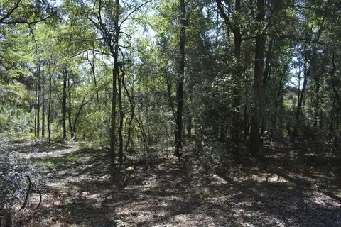 Nnn Aplin Road, Crestview, FL 32539