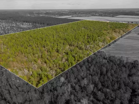 0000 N Bob Brooks Rd, Baker, FL 32531