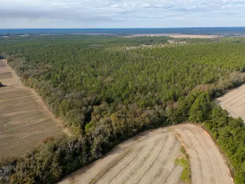 0000 N Bob Brooks Rd, Baker, FL 32531 photo 7