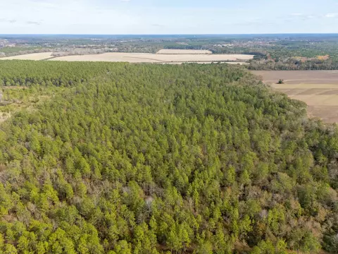 0000 N Bob Brooks Rd, Baker, FL 32531 photo 5