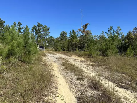 Parcel D1 Millside, Laurel Hill, FL 32567 photo 5