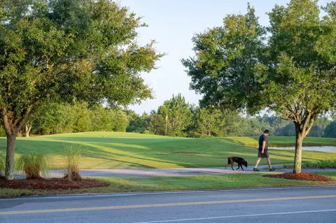 View/Area - 1009 Suwannee Dr #LOT 2, Watersound, FL 32461 photo 3 of 10