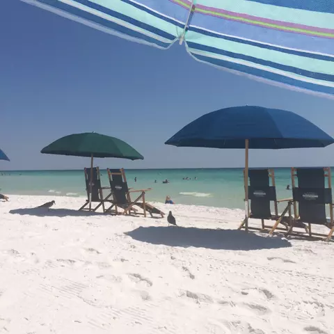 Other - 22 Sharilyn Dr, Shalimar, FL 32579 photo 9 of 10