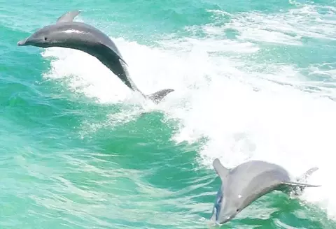 Other - 22 Sharilyn Dr, Shalimar, FL 32579 photo 10 of 10