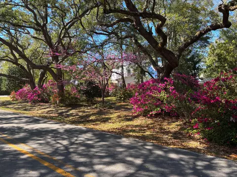 lot18 Ricker Ave, Santa Rosa Beach, FL 32459