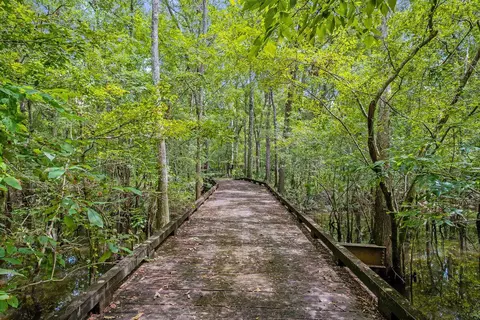 66 Sawmill Rd, Bruce, FL 32455 photo 6