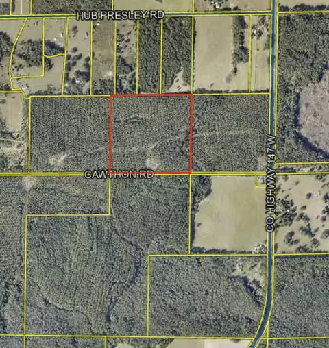 Nn Cawthon Road, Laurel Hill, FL 32567