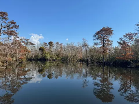 2020 Becks Lake Rd, Cantonment, FL 32533