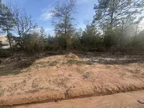 Nnn Juniper Avenue, Defuniak Springs, FL 32433
