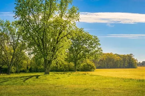 tbd Vinson Ray Rd, Baker, FL 32531
