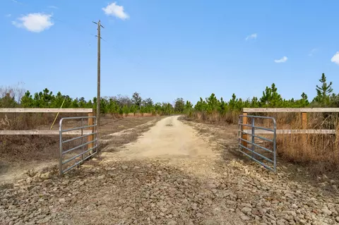 81 Acres Show Horse Way, Laurel Hill, FL 32567