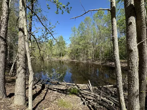 View/Area - 115 Cedar Ln, Other, AL photo 1 of 2