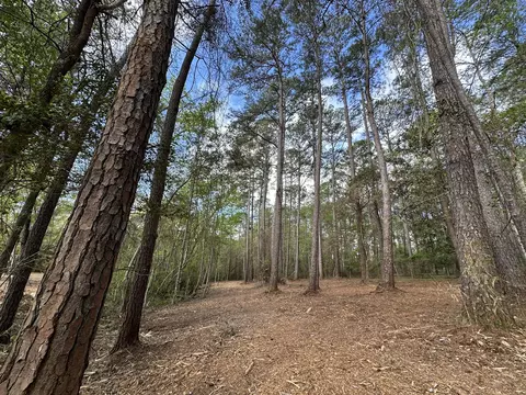 3421 Airport Rd, Crestview, FL 32539 photo 25