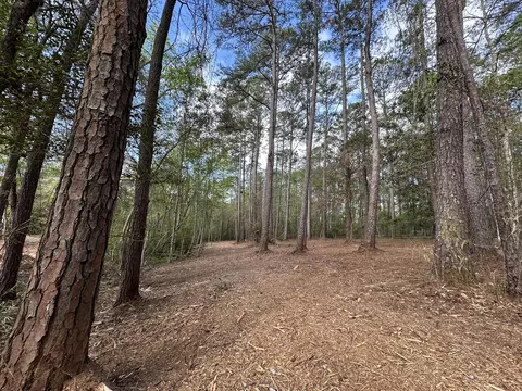 3421 Airport Rd, Crestview, FL 32539 photo 23