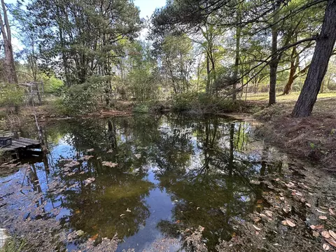 3421 Airport Rd, Crestview, FL 32539 photo 34