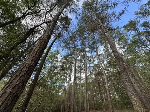 3421 Airport Rd, Crestview, FL 32539 photo 24