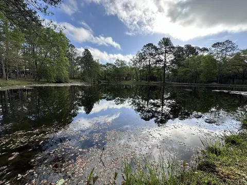3421 Airport Rd, Crestview, FL 32539 photo 28