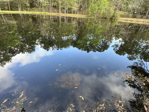 3421 Airport Rd, Crestview, FL 32539 photo 33