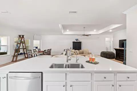 Kitchen - 44 Secluded Cir, Freeport, FL 32439 photo 3 of 4