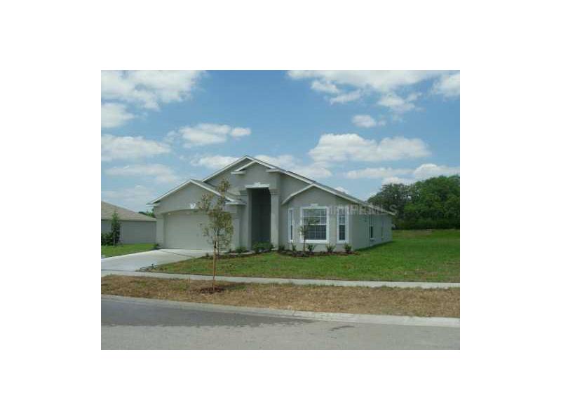 10070 Creek Bluff Dr, Riverview, FL 33578 photo 1