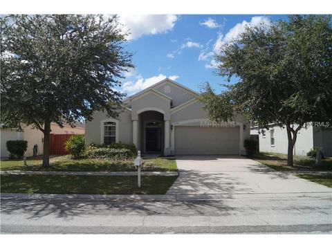 13233 Cherry Bark Cir, Riverview, FL 33579 photo 1