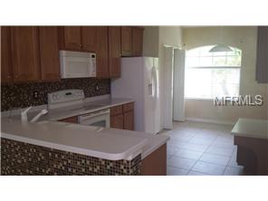 2519 E 124th Ave, Parrish, FL 34219 photo 1