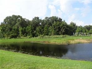 5937 Lexington Dr, Parrish, FL 34219 photo 1