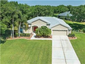11762 Laurel Oak Ln, Parrish, FL 34219 photo 1