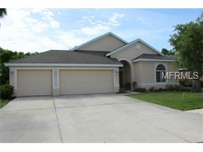 3007 124th Ave E, Parrish, FL 34219 photo 1