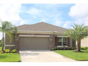 9003 41st St E, Parrish, FL 34219 photo 1