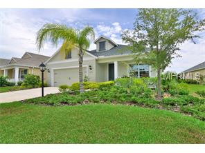 16823 Destrehen Ct, Parrish, FL 34219 photo 1