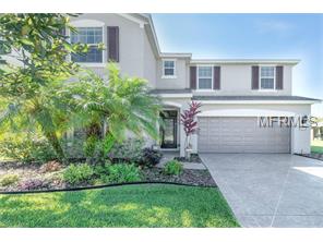 9807 46th Ct E, Parrish, FL 34219 photo 1