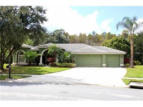 18523 Bittern Ave, Lutz, FL 33558 photo 1