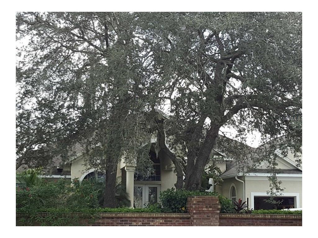 9009 Riverview Dr, Riverview, FL 33578 photo 1