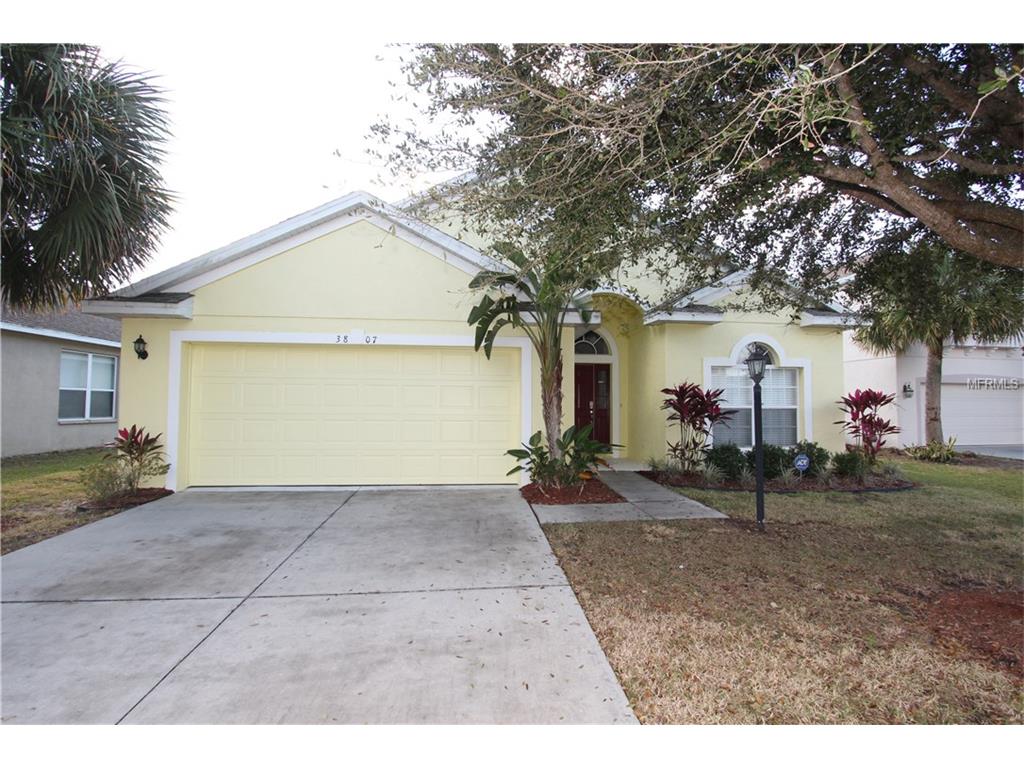 3807 101st Ave E, Parrish, FL 34219 photo 1
