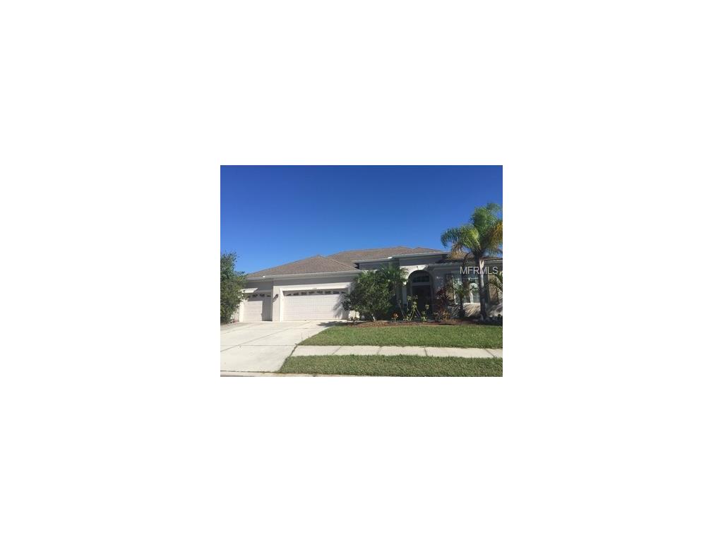 11489 Summit Rock Ct, Parrish, FL 34219 photo 1