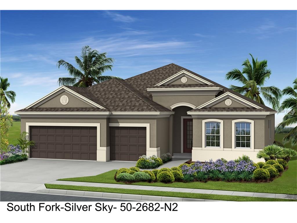 11430 Drifting Leaf Dr, Riverview, FL 33579 photo 1