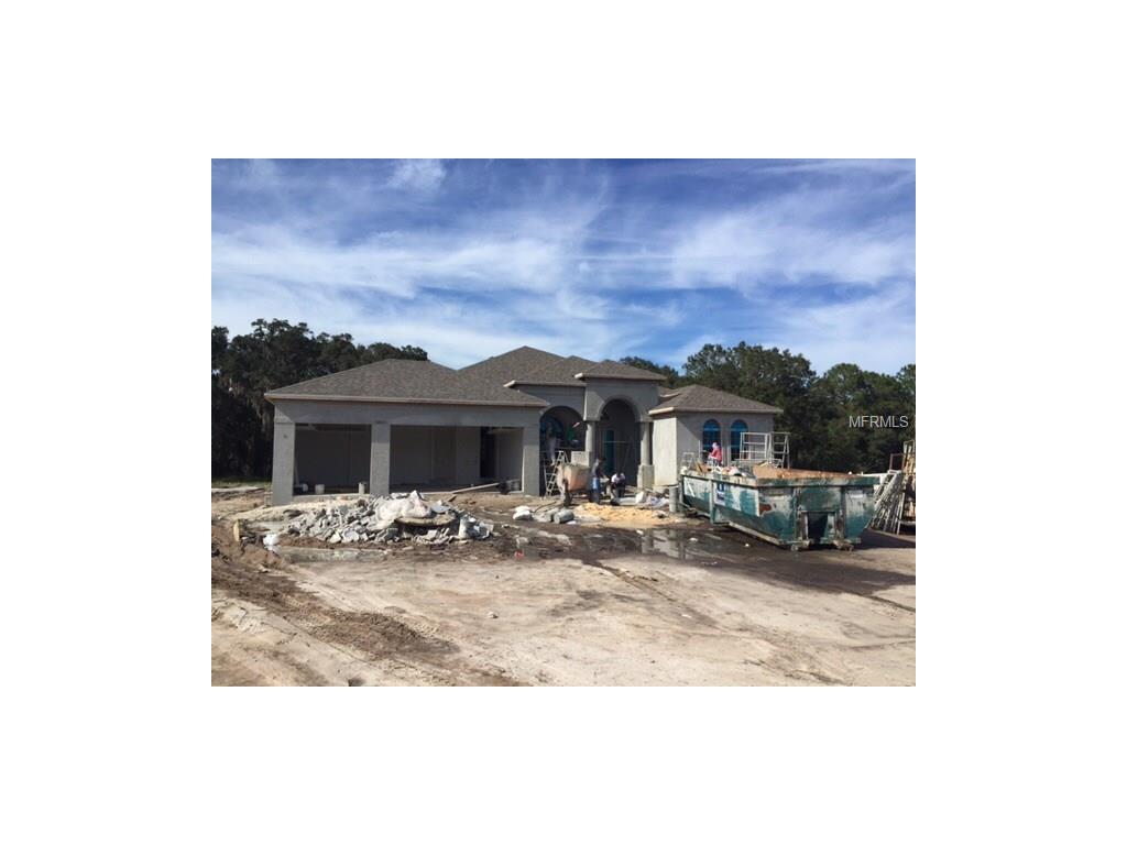 5306 Saddlewood Ter, Parrish, FL 34219 photo 1