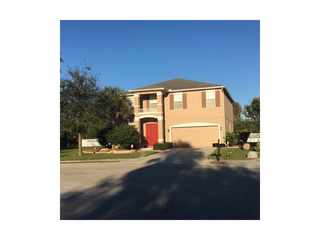 11627 Summit Rock Ct, Parrish, FL 34219 photo 1