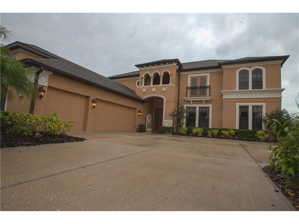 2007 126th Ave E, Parrish, FL 34219 photo 1