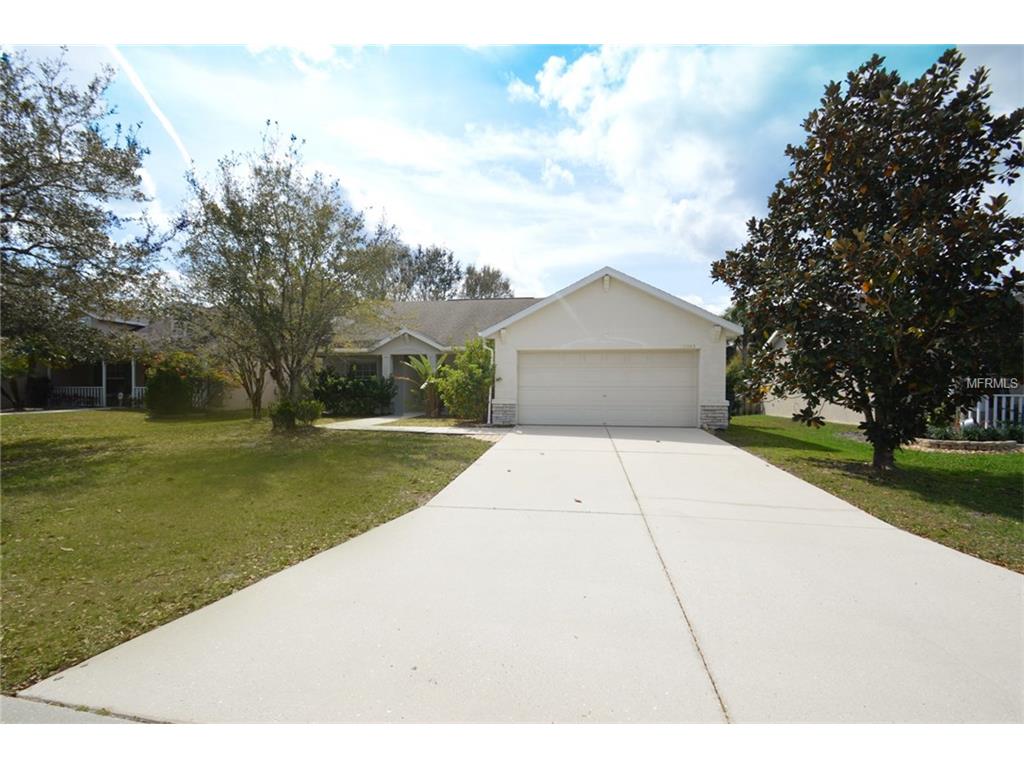 11843 Dunster Ln, Parrish, FL 34219 photo 1