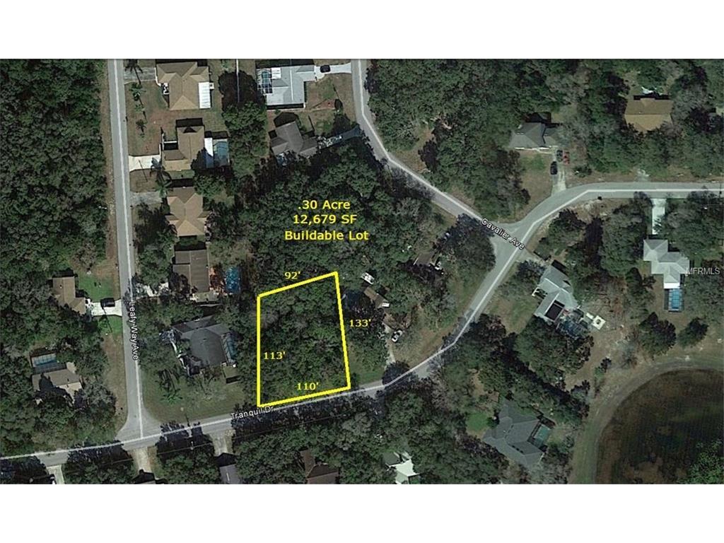 8372 Tranquil Dr, Spring Hill, FL 34606 photo 1