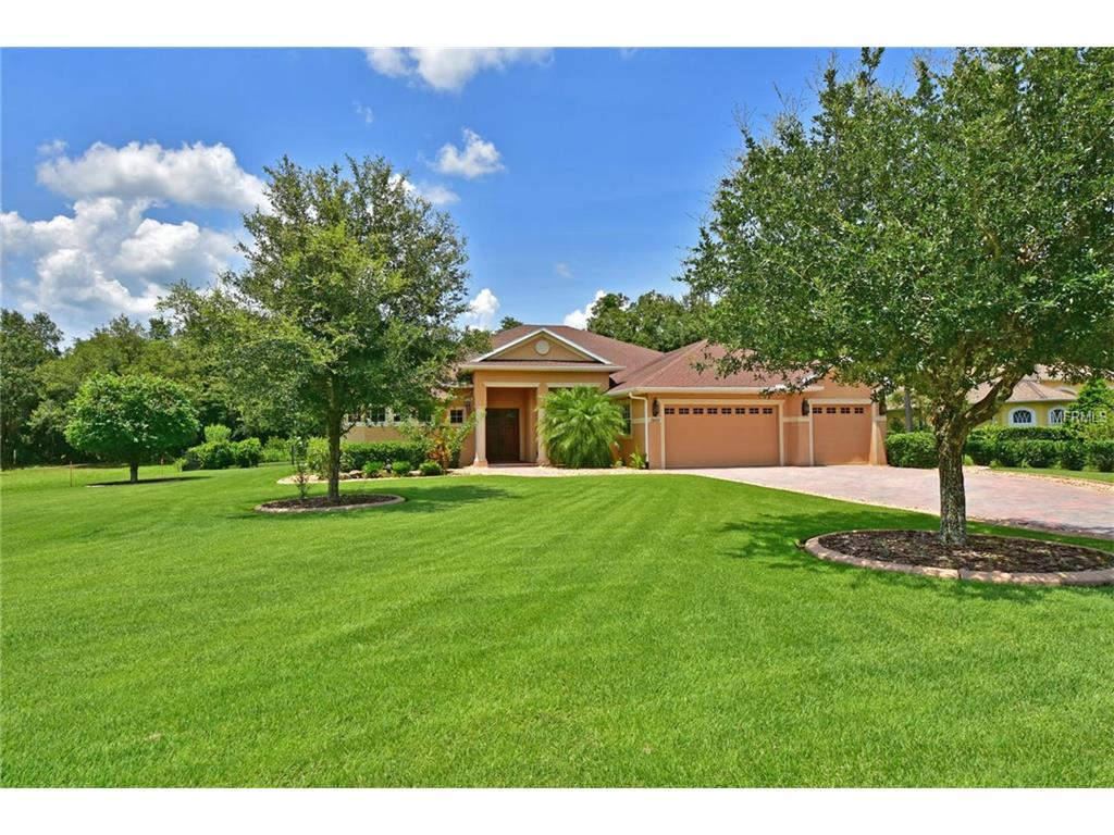 3869 155th Ave E, Parrish, FL 34219 photo 1
