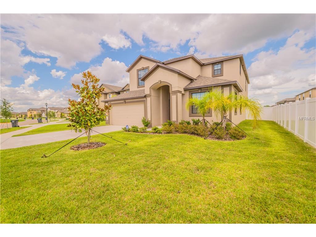 11628 Shelby Jay Dr, Riverview, FL 33579 photo 1