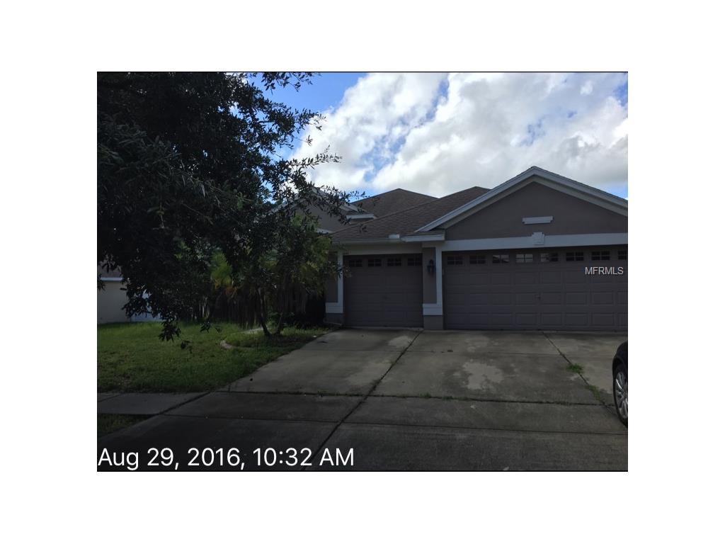 11141 Bridgecreek Dr, Riverview, FL 33569 photo 1