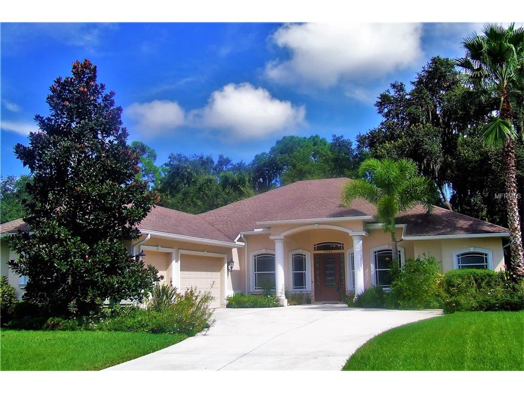 3845 155th Ave E, Parrish, FL 34219 photo 1
