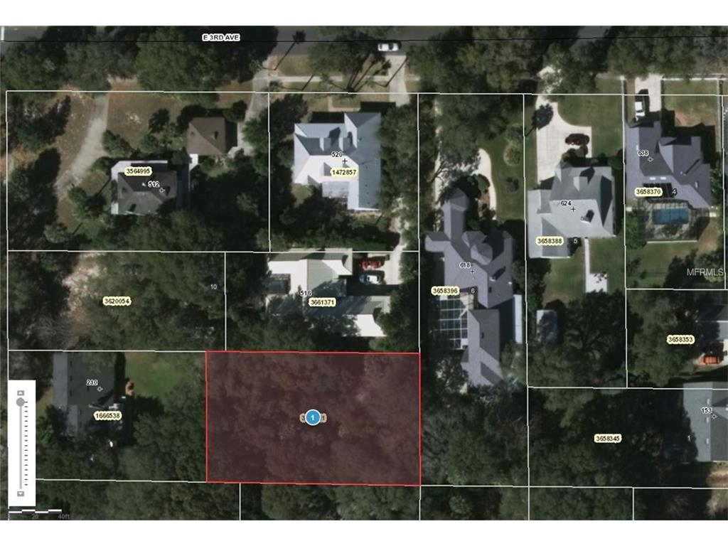 512 E 3rd Ave, Mount Dora, FL 32757 photo 1