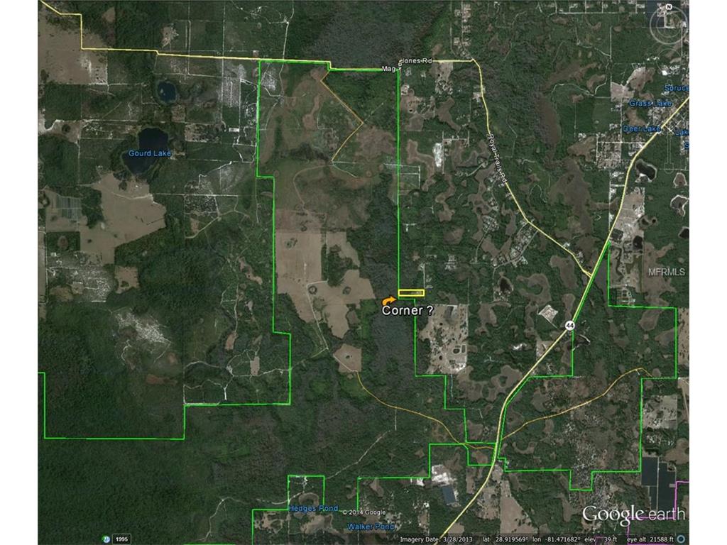 39043 Sunflower St, Eustis, FL 32736 photo 1