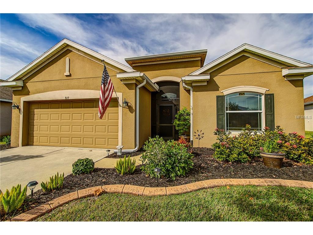 8119 112th Ave E, Parrish, FL 34219 photo 1