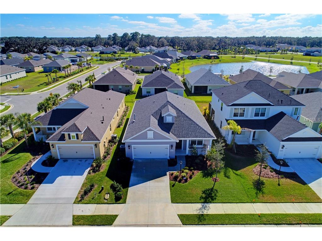 11115 Blue Magnolia Ln, Parrish, FL 34219 photo 1